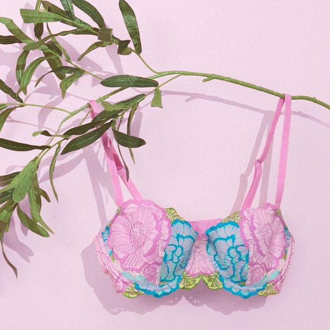 Pink and Blue Adore Me bra